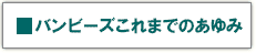 バンビーズこれまでのあゆみ